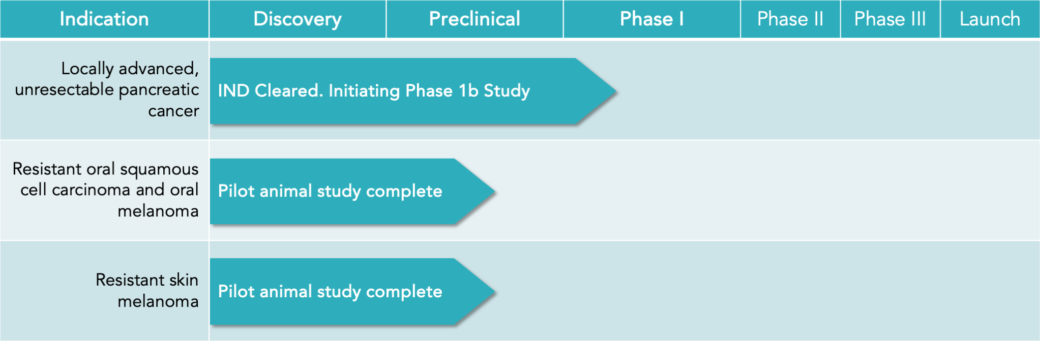 Focal Medical product pipeline